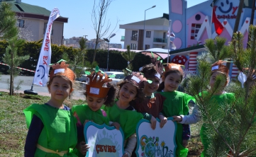 Tree Planting